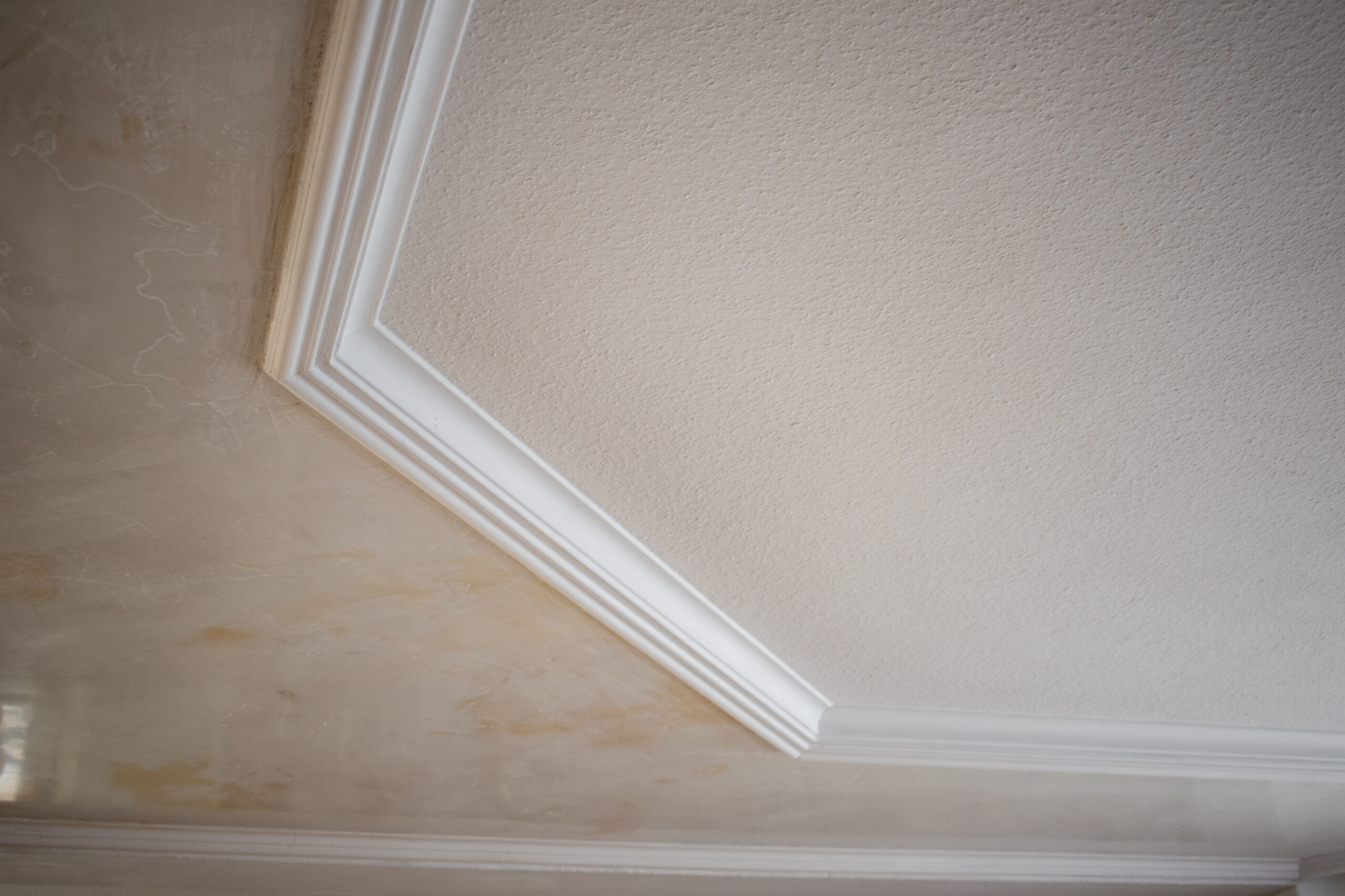 Detailaufnahme einer Stuckleiste am Deckenabschluss im Innenraum